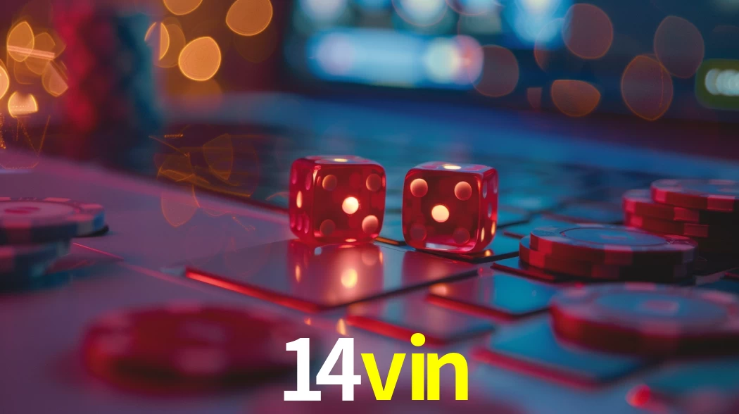 Bonus Features 14vin
